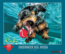 Underwater Dogs:  Rhoda Dogs