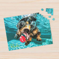 Underwater Dogs:  Rhoda Dogs