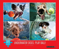 Underwater Dogs:  Play Ball Dogs