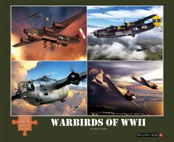 Warbirds of WWII Plane