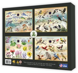 Native Trees of South Carolina United States