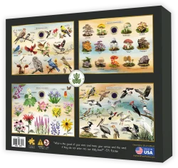 Aquatic Life of South Carolina United States