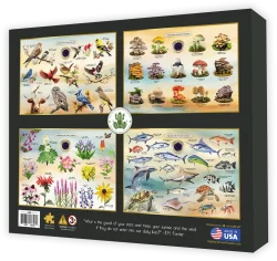 Coastal Birds of South Carolina Birds