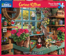 Curious Kittens Cats