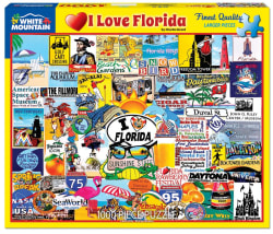 I Love Florida Disney