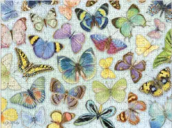 Butterflies Luxe Butterflies and Insects