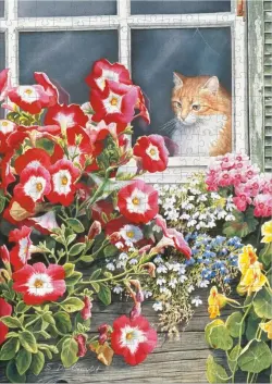 Garden Gazing - Cats in the Country - Scratch and Dent Cats