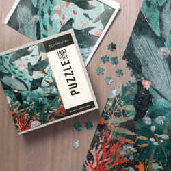 Under The Sea Sea Life