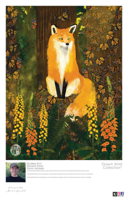 Amanda Merrifield - Golden Fox Fine Art