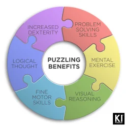 Sheena Pike - Changing Seasons Hummingbirds Birds
