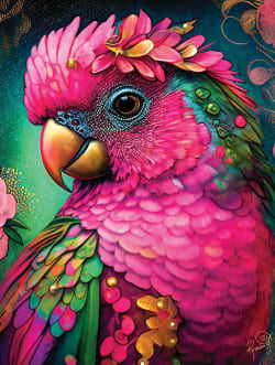 Flights of Fancy - Queen's Aviary Petra - Scratch and Dent Birds