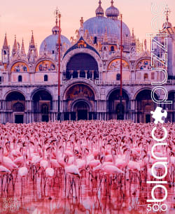 BLANC Series: Pink Flamingo Palace - Scratch and Dent Castle
