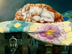 Comfortable Cat Cats