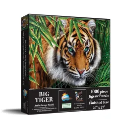 Big Tiger Big Cats