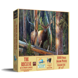 The Recluse Forest Animal