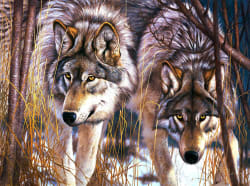 Who's Coming to Dinner Wolf