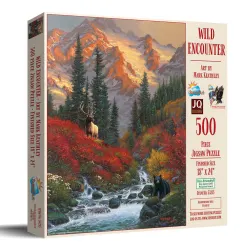 Wild Encounter Mountain