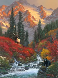 Wild Encounter Mountain