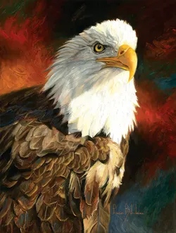 Portrait of an Eagle Patriotic