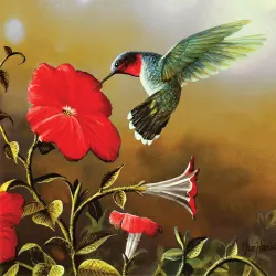 Ruby Throat Birds