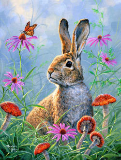 Curious Cottontail Bunny