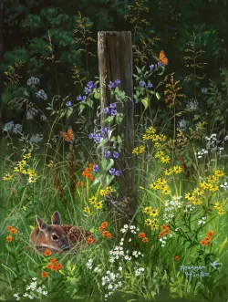 Summer Treasures Forest Animal