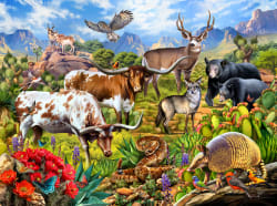 Texas wildlife Animals