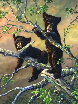 Out on a Limb Bear