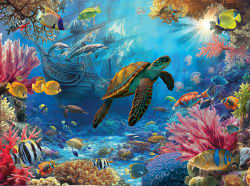 Pirate Ship Sea Life