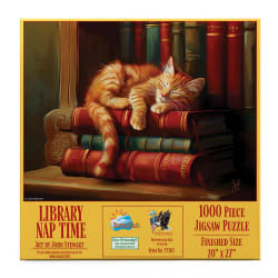 Library Nap Cats