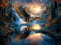 Sunrise Reflections Eagle