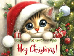 Hey Christmas Cats