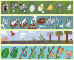 Sequence Puzzle - Nature Animals