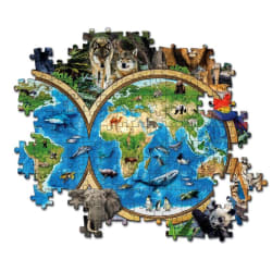 Super Noli The Wonderful Animal World Animals