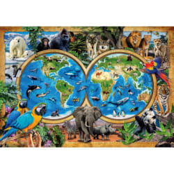 Super Noli The Wonderful Animal World Animals