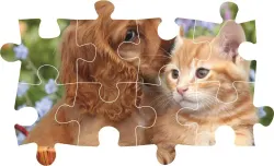 Cute Friends 104 Maxi pc puzzle Cats