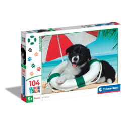Noli Sunny Beach  Dogs