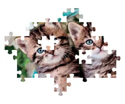 Noli Lovely Kitty Twins Cats