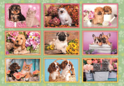 SuperColor Puppies Collage Dogs