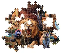 The Tribal Society - Compact Box Jungle Animals