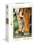 Bengal Tiger Cub Between its Mother's Legs Mother's Day Jigsaw Puzzle
