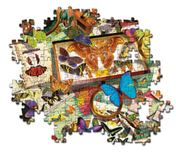 The Butterfly Collector Butterflies and Insects