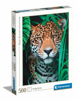 Jaguar in the Jungle Big Cats