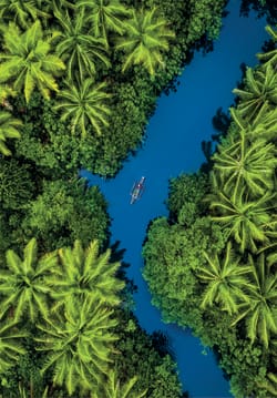Tropical Aerial View  Travel
