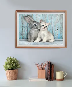 Cat & Bunny - Compact Box Animals