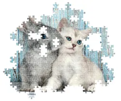 Cat & Bunny - Compact Box Animals