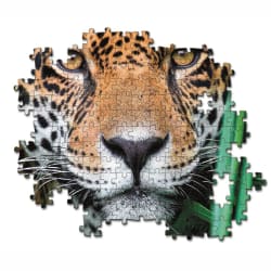 Jaguar in the Jungle - Small Box Jungle Animals