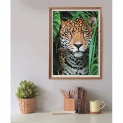 Jaguar in the Jungle - Small Box Jungle Animals