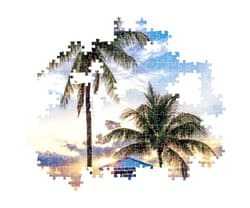 Miami Beach Florida - Compact Box Beach & Ocean