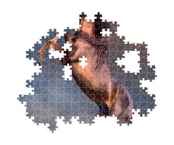 Wild Red Stallion - Compact Box Horse